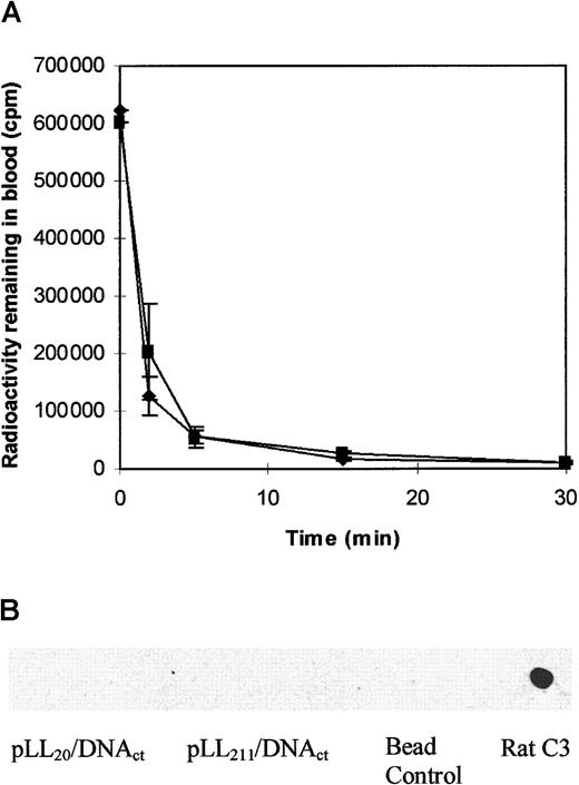 Fig. 7. pLL20/DNAct and pLL211/DNAct complexes are rapidly removed from the circulation of female Wistar rats but do not bind complement C3 in vitro. / (A) pLL20/DNAct (♦) or pLL211/DNAct (▪) complexes were administered intravenously to female Wistar rats (1.0 mL of 10 μg/mL DNA), and blood was taken at specified intervals from the end of the tail. Results show the mean ± SD of 3 independent experiments. (B) Rat complement C3 binding to pLL/DNAct complexes incubated in rat serum in vitro. Method as for Figure 5. Bead control represents serum-treated beads.