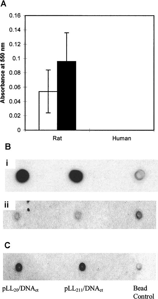 Fig. 8. pLL20/DNAct and pLL211/DNAct complexes fix human complement C3 and bind IgG but are not hematotoxic in vitro. / (A) Hematotoxicity of pLL20/DNAct (■) or pLL211/DNAct (▪) complexes was determined by their incubation in human or rat blood at 37°C for 1 hour. Blood cells were removed by centrifugation, and the presence of hemoglobin in the supernatant was measured by absorbance at 550 nm. (B) Binding of complement protein C3 to pLL/DNA complexes incubated in normal (i) or heat-inactivated human serum (ii). Method as for Figure 5. (C) Binding of IgG to pLL/DNA complexes incubated in normal human serum.