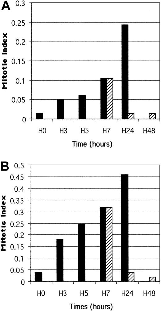 Fig. 3. Nocodazole treatment of megakaryocytes. / Nocodazole (▪, 2 μg/mL) was added to the medium of culture of megakaryocytes obtained from CD34+ cells with PEG-rhuMGDF and SCF. Megakaryocytes were regularly sampled (at 0, 3, 5, 7, and 24 hours) centrifuged onto slides and fixed with paraformaldehyde, then nuclei were counterstained with DAPI. Mitotic index was calculated for 400 cells at each time and determined on the average of triplicate experiments. In parallel, nocodazole was withdrawn (▨) at 7 hours and mitotic indexes were similarly determined at 24 and 48 hours (A). Panel B shows a similar experiment in which only polyploid megakaryocytes were taken into account to determine the mitotic index (based on a 500-cell count for each sample).