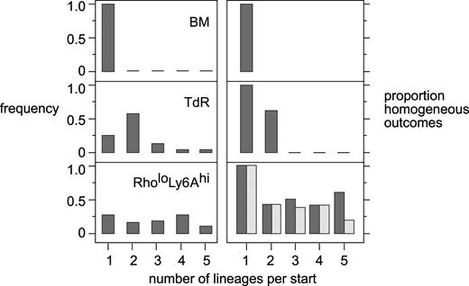 Fig. 1. Numbers of lineages generated by sibling cells taken from 4 to 8 cell colony starts. / Colony starts were initiated from unseparated marrow (BM; total, 15 starts), marrow cells after overnight selection in thymidine (TdR; total, 28 starts), or the rhodamine 123loLy6A/Ehi marrow cell fraction (total, 54 starts). Left-hand panels indicate the relative frequencies at which colony starts displayed single or multiple lineage potential. For example, after thymidine selection, 58% of the colony starts displayed the potential to differentiate into 2 lineages. Right-hand panels indicate the relative proportions of starts whose siblings all yielded the same kind of colony, as a function of the total number of lineages found in the colonies. For example, after thymidine selection, daughter cells from 63% of bipotent colony starts had identical bilineage outcomes after individual culture, whereas 37% of starts yielded secondary colonies that did not have identical outcomes. In the lower-right panel, lightly shaded bars represent secondary colonies that were identical. A lower level of stringency, in which one sibling subclone with a disparate outcome was allowed, is represented by darkly shaded bars.
