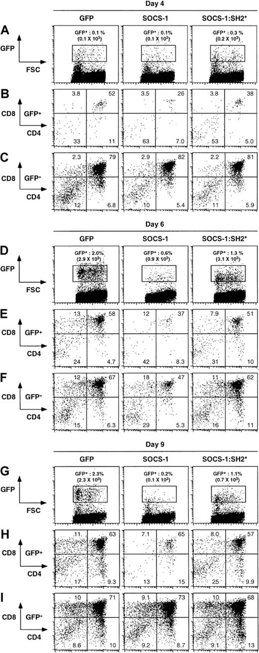 Fig. 4. Overexpression of SOCS-1 impairs T-cell differentiation from committed thymic precursors. / Fetal thymic lobes were infected with the indicated retrovirus constructs for 3 days and subsequently cultured for a further 1, 3, or 6 days. Single-cell suspensions were obtained from fetal thymic lobes at the indicated time and analyzed for surface expression of CD4 and CD8; percentages of cells in each quadrant are shown. The analysis was confined to infected donor cells by gating on GFP expression, as indicated by the rectangular gate in the GFP versus forward light scatter (FSC) dot plots; cell counts for the absolute number of GFP+ cells per lobe are shown in parentheses. Data obtained with uninfected (GFP−) cells are provided as a control for the ability of the thymic lobes to sustain normal T-cell development.
