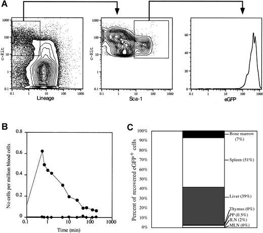 Fig. 5. Mobilized hematopoietic progenitor cells are rapidly cleared from the bloodstream. / (A) Representative FACS plots showing the gates used to isolate eGFP+ progenitors (Lin−/loc-kit+Sca-1+) from day +4 CY/G-CSF–treated eGFP transgenic mice. The sorted populations are boxed. The right panel shows the high level of expression of eGFP in sorted progenitor cells. Data are expressed as contour or histogram plots representing fluorescence intensity for the indicated marker. (B) Clearance from the blood of eGFP+ progenitors (♦) and PKH-26+ RBC (●). Day +4 CY/G-CSF–treated wild-type mice were anesthetized and injected intravenously with sorted eGFP+ progenitor cells and PKH-26–labeled erythrocytes, as described in “Materials and methods.” Samples of peripheral blood were obtained from the recipient mouse at the indicated time points. The frequency of eGFP+ or PKH-26+ at each time point was determined by flow cytometry. Data are expressed as the number of eGFP+ or PKH-26+ cells per 106 total nucleated blood cells. (C) In vivo homing of MPB stem and progenitor cells. eGFP+ progenitor cells were infused into anesthetized day +4 CY/G-CSF–treated wild-type recipients, as in panel B. After 3 hours, animals were killed and the number of eGFP+ cells in each organ was determined by flow cytometry. Data are presented as the percent of total eGFP+ cells recovered from each organ, as indicated. ILN indicates inguinal lymph nodes; MLN, mesenteric lymph nodes; PP, Peyer patches.