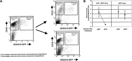 Fig. 4. Engraftment of human cells in NOD/SCID mice: A10-GFP virus GFP. / A10–GFP- or GFP-transduced progenitors and the nontransduced cell fraction were injected into NOD/SCID mice directly after finishing transduction. Engraftment of human lymphoid and myeloid cells was assessed by quantifying CD19+/CD34− or CD15+12 weeks after transplantation by FACS analysis. The FACS profile of the BM of a representative mouse transplanted withHOXA10-transduced and nontransduced fetal liver cells is shown at 12 weeks after transplantation. Percentages of GFP+ and GFP− human lymphoid and myeloid cells are presented as proportions of the human GFP+ and GFP− CD45+ cell populations, respectively (A). Ratios of human lymphoid and myeloid cells were calculated for the individual mice in the GFP and A10-GFP experimental groups (n = 7 and n = 11, respectively) for both the GFP+ and the GFP− compartments. Median ratios are indicated (B).
