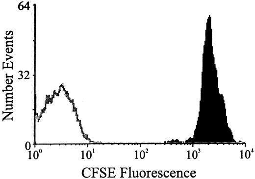 Fig. 2. Fluorescence histogram. / CFSE-stained BM cells are solid black; the single black line is an overlay of unlabeled BM.