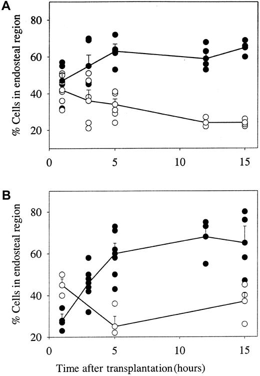 Fig. 4. The spatial distribution of various marrow subpopulations present in the BM up to 15 hours after transplantation. / (A) Lin+ (○) and Lin− cells (●); (B) WGAdim-med/Rhbright cells (○), and WGAdim-med/Rhdull cells (●). Individual circles represent individual recipients. Each symbol joined by the line is the mean (SEM of between 3 and 6 individual animals). Where no error bar is visible, it falls within the symbol.