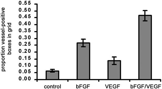 Fig. 2. Effect of angiogenic growth factors on vascularization of type I collagen implants. / Three different treatments, namely, bFGF (0.5 μg), VEGF (0.15 μg), or bFGF + VEGF were tested for their ability to stimulate a strong angiogenic response within collagen implants. Collagen was copolymerized with buffer alone or with growth factors prior to placement on the CAM. After 66 hours on the CAM, angiogenesis scores were measured and calculated as the proportion (mean ± SEM) of positive boxes in the upper nylon mesh grid. Data represent 3 pooled experiments: control, n = 37 implants; bFGF, n = 37; VEGF, n = 21; and bFGF/VEGF, n = 37. Results of statistical analysis performed using Wilcoxon signed rank test on matched pairs are as follows: bFGF versus buffer control, P < .001; VEGF versus buffer control, P > .05; bFGF/VEGF versus buffer control, P < .001; and bFGF/VEGF versus VEGF or bFGF,P < .001.