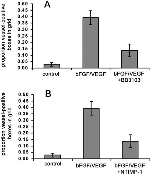 Fig. 5. Synthetic and natural MMP inhibitors substantially reduce growth factor–stimulated angiogenesis. / Collagen was copolymerized with buffer alone, bFGF/VEGF, or bFGF/VEGF plus indicated metalloproteinase inhibitors, prior to placement of the collagen implant on the chick CAM. The embryos containing the implants were incubated for 66 hours, with topical addition of inhibitors at 12, 24, 36, and 48 hours. At the end of the incubation, the new vessels appearing in the collagen implants were scored as described in “Materials and methods.” (A) MMP inhibitor BB3103 was added at an initial dose of 1.4 μg/implant with 4 subsequent topical doses of 0.24 μg each. Data represent 2 pooled experiments: control, n = 15 implants; bFGF/VEGF, n = 16; and bFGF/VEGF/BB3103, n = 16. Results of statistical analysis performed using Wilcoxon-signed rank test on matched pairs are as follows: bFGF/VEGF versus buffer control,P = .001; bFGF/VEGF versus bFGF/VEGF/BB3103,P < .01, and buffer control versus bFGF/VEGF/BB3103,P > .05. (B) NTIMP-1 was added at an initial dose of 1.8 μg/implant with 4 subsequent topical doses of 1.8 μg each. Data represent 4 pooled experiments: control, n = 25 implants; bFGF/VEGF, n = 27; and bFGF/VEGF/NTIMP-1, n = 27. Results of statistical analysis are as follows: bFGF/VEGF versus buffer control,P < .001; bFGF/VEGF versus bFGF/VEGF/NTIMP-1,P < .001; buffer control versus bFGF/VEGF/NTIMP-1,P < .05.