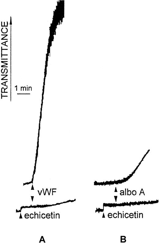 Fig. 2. Inhibition of aggregation of washed platelets induced by vWF or alboaggregin A. / Upper curves: washed human platelets (500 μL, 5 × 108/mL) were stirred at 1100 rpm at 37°C and aggregation was induced by 5 μg/mL human vWF plus 0.5 mg/mL ristocetin (A) or by 0.1 μg/mL alboaggregin A (B). Lower curves: washed human platelets (500 μL, 5 × 108/mL) were stirred in the presence of 20 μg/mL echicetin, and the same agonists (A and B) were added after 1 minute.