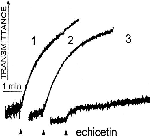 Fig. 3. Echicetin-induced platelet agglutination in blood plasma independent of GPIIb/IIIa. / PRP (500 μL, curve 1) or washed human platelets (500 μL, 5 × 108/mL, curve 3) were stirred at 1100 rpm at 37°C, and echicetin (5 μg) was added to each sample. Curve 2: platelet agglutination in PRP (500 μL) induced by echicetin (5 μg) in the presence of GPIIb/IIIa inhibitor (Ro44-9883, 1 μM/mL).