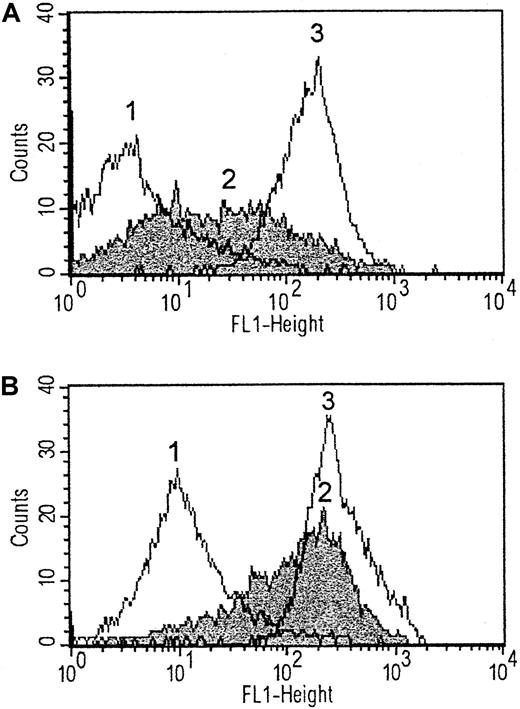 Fig. 4. P-selectin expression and fibrinogen binding to platelets activated by echicetin-IgMκ. / Platelets were activated by echicetin-IgMκ or thrombin as positive control, and binding of anti–P-selectin antibodies (A) or FITC-fibrinogen (B) was measured. In comparison to resting platelets (1), both echicetin-IgMκ–activated (2) and thrombin-activated (3) platelets bind higher amounts of anti P-selectin antibodies and FITC-fibrinogen. All measurements were repeated with platelets from 3 different donors.