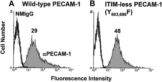 Fig. 1. Expression of wild-type and ITIM-less PECAM-1 on the surface of B-cell transfectants. / DT40 B cells were transfected with (A) wild-type human PECAM-1 or (B) an ITIM-less human PECAM-1 variant, in which the tyrosine residues at positions 663 and 686 were replaced by phenylalanine. Cells were pretreated with normal mouse IgG1 (NMIgG) or with PECAM-1.3, a murine mAb specific for human PECAM-1 (αPECAM-1). Antibody-pretreated cells were then stained with FITC-conjugated GAM IgG and analyzed by flow cytometry. Transfectants chosen for analysis expressed equivalent levels of cell surface PECAM-1.