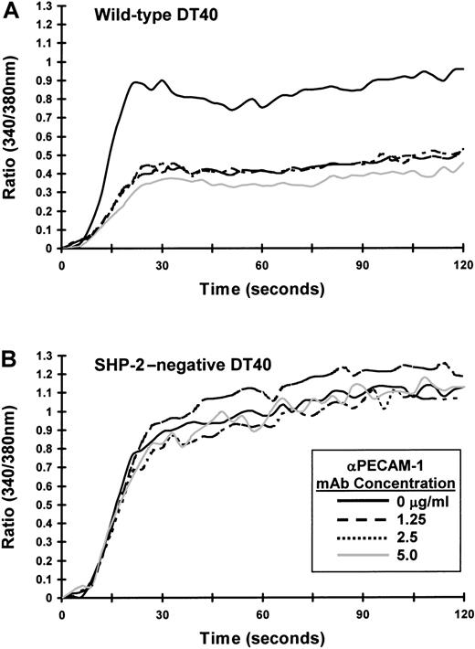 Fig. 4. SHP-2 is required for PECAM-1-mediated attenuation of calcium mobilization in B-cell transfectants. / PECAM-1–expressing (A) wild-type or (B) SHP-2–negative DT40 transfectants were loaded with Fura-2AM and preincubated for 10 minutes at room temperature with murine antichicken BCR together with the indicated concentration of F(ab′)2 fragments of PECAM-1.3 Ab (αPECAM-1 mAb). Cells were washed free of unbound Ab and then added to the warmed (37°C) chamber of an SLM 8100 spectrofluorometer. Calcium mobilization was induced by cross-linking of surface-bound Abs on addition of addition of F(ab′)2 fragments of GAM IgG. The intracellular calcium concentration was assessed every 3 seconds over a period of 120 seconds. Note that PECAM-1 co-ligation with the BCR fails to attenuate calcium mobilization in the absence of SHP-2.
