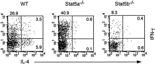 Fig. 1. Th2 cell differentiation is decreased in Stat5a−/− T cells. / Splenocytes from wild-type (WT) mice, Stat5a−/− mice, or Stat5b−/− mice were stimulated with platebound anti-CD3 mAb for 48 hours in nonpolarizing condition. Cells were cultured in the presence of IL-2 for another 3 days and then restimulated with platebound anti-CD3 mAb for 6 hours. Intracellular cytokine profiles for IL-4 versus IFN-γ were determined on CD4+ T cells as described in “Materials and methods.” Shown are representative FACS profiles from 5 mice in each group.