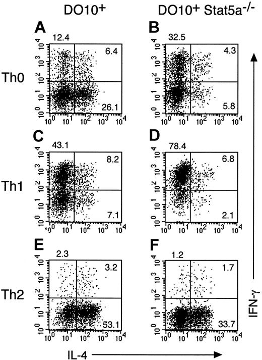 Fig. 2. Development of Th2 cells from splenocytes is decreased in DO10+ T cell receptor transgenic Stat5a−/−mice. / Splenocytes from DO10+ mice (A,C,E) or DO10+Stat5a−/− mice (B,D,F) were stimulated with OVA323-339 peptide (0.1 μg/mL) for 48 hours in Th0- (A,B), Th1- (C,D), or Th2- (E,F) polarizing condition. Cells were cultured in the presence of IL-2 for another 3 days and then restimulated with platebound anti-CD3 mAb for 6 hours. Intracellular cytokine profiles for IL-4 versus IFN-γ were determined on CD4+ T cells as described in “Materials and methods.” Shown are representative FACS profiles from 5 mice in each group.