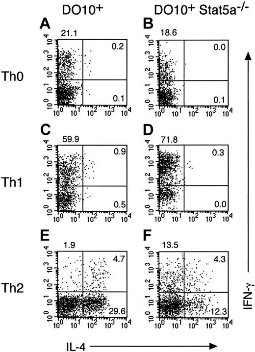 Fig. 3. Development of Th2 cells from purified CD4+T cells is decreased in Stat5a−/− mice. / Purified splenic CD4+ T cells from DO10+ mice (A,C,E) or DO10+Stat5a−/− mice (B,D,F) were stimulated with platebound anti-CD3 mAb and anti-CD28 mAb for 48 hours in Th0-, Th1-, or Th2-polarizing condition. Activated T cells were cultured in the presence of IL-2 for another 3 days and then restimulated with platebound anti-CD3 mAb for 6 hours. Intracellular cytokine profiles for IL-4 versus IFN-γ were determined on CD4+ T cells as described in “Materials and methods.” Shown are representative FACS profiles from 4 mice in each group.