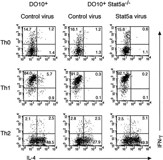 Fig. 7. Retrovirus-mediated gene transduction of Stat5a rescues Th2 cell differentiation in Stat5a−/−CD4+ T cells. / Purified splenic CD4+ T cells from DO10+ mice or DO10+Stat5a−/− mice were stimulated with platebound anti-CD3 mAb and anti-CD28 mAb for 48 hours in Th0-, Th1-, or Th2-polarizing condition. Activated T cells were then infected with retroviruses of pMX-Stat5a-IRES-GFP or pMX-IRES-GFP (as a negative control) as described in “Materials and methods.” Cells were cultured with IL-2 for another 60 hours and then restimulated with platebound anti-CD3 antibody for 6 hours. Intracellular cytokine profiles for IL-4 versus IFN-γ were evaluated on infected CD4+ T cells (GFP+CD4+ cells). Shown is representative intracellular cytokine staining from 4 independent experiments.