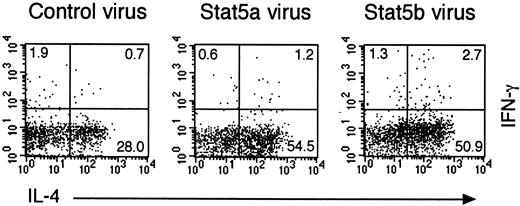 Fig. 8. Retrovirus-mediated expression of Stat5b restores Th2 cell differentiation in Stat5a−/−CD4+ T cells. / Purified splenic CD4+ T cells from DO10+Stat5a−/− mice were stimulated with platebound anti-CD3 mAb and anti-CD28 mAb for 48 hours in Th2-polarizing condition. Activated T cells were then infected with retroviruses of pMX-Stat5a-IRES-GFP, pMX-Stat5b-IRES-GFP, or pMX-IRES-GFP (as a negative control) as described in “Materials and methods.” Cells were cultured with IL-2 for another 60 hours and then restimulated with platebound anti-CD3 antibody for 6 hours. Intracellular cytokine profiles for IL-4 versus IFN-γ were evaluated on infected CD4+ T cells (GFP+CD4+cells). Shown is representative intracellular cytokine staining from 4 independent experiments.