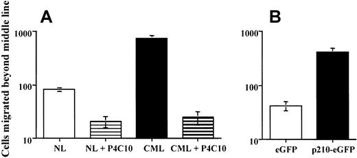 Fig. 4. Presence of p210BCR/ABL in normal CD34+ cells enhances migration. / eGFP+ CD34+ cells were plated in fibronectin- or BSA-coated dishes and tilted to 80° for 1 hour: 104normal bone marrow (n = 4) or CML bone marrow (n = 4) (A) or p210-eGFP–transduced (n = 4) or eGFP-transduced (n = 4) (B). For normal and CML bone marrow, studies were performed in the presence or absence of the blocking anti–β1-integrin antibody, P4C10. Dishes were then lowered to 20° for 12 hours, and cells that had migrated past the middle line were enumerated under the microscope. (A) Comparison between NL and CML CD34+ cells (P = .001). Comparison between NL CD34+ cells with and without P4C10 (P < .01). Comparison between CML CD34+ cells with and without P4C10 (P = .001). (B) Comparison between p210-eGFP– and eGFP-transduced GFP+CD34+ cells (P = .001).