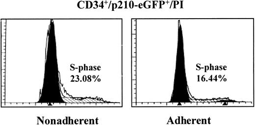 Fig. 5. Presence of p210BCR/ABL in normal CD34+ cells prevents adhesion-mediated proliferation inhibition. / Cord blood CD34+ cells (5 × 106) were transduced on 3 consecutive days with the control vector, eGFP, or with p210-eGFP and were plated in fibronectin or poly-L-lysine–coated dishes for 12 hours in the presence of the β1-integrin activating antibody, 8A2. Nonadherent and adherent cells were collected separately, cells were fixed and incubated with propidium iodide, and the cell cycle status of CD34+/eGFP+ cells was analyzed by FACS using Modfit-LT software. A representative example of fibronectin-nonadherent and fibronectin-adherent p210-eGFP–transduced cells is shown.