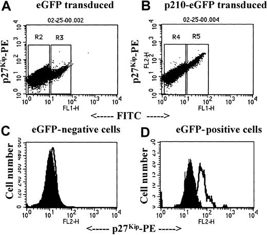 Fig. 6. Transduction of p210BCR/ABL in NL CD34+ cells causes elevated levels of p27Kip. / Cord blood CD34+ cells (5 × 106) were transduced on 3 consecutive days with the control vector, eGFP (A: R2, eGFP−; R3, eGFP+) or with p210-eGFP (B: R3, eGFP−; R4, eGFP+). Twenty-four hours after the last transduction, cells were labeled with anti-CD34 APC, fixed, permeabilized, and incubated with antibodies against p27Kip, and washed and incubated with phycoerythrin-conjugated goat antimouse immunoglobulin. CD34+ eGFP− cells (C: R2, eGFP transduced; R4, p210-eGFP transduced) and CD34+ eGFP+ cells (D: R3, eGFP transduced; R5, p210-eGFP transduced) were gated, and p27Kip levels were compared. A representative example of 3 separate experiments is shown.