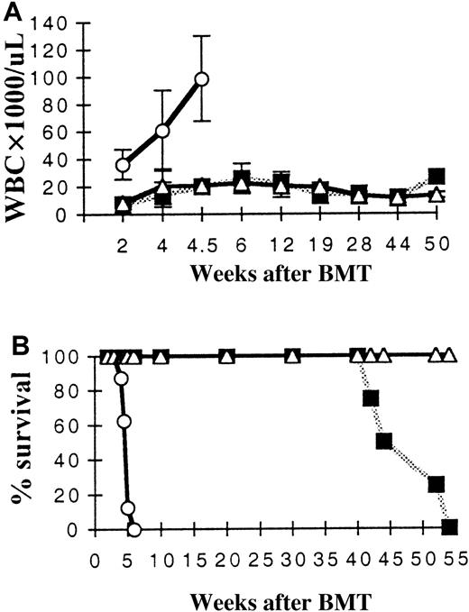 Fig. 1. Leukocyte (WBC) counts and survival of primary marrow transplant recipients. / (A) Mean WBC values for each treatment group are shown over time. Only mice receiving MFINV-TD–expressing BM displayed extremely high WBC counts initially (TD). At 1 year, mice receiving MFINV-WT transplants began to develop leukocytosis (WT). Control mice receiving empty vector–transduced BM are also shown (MINV). (B) MFINV-TD (TD) mice rapidly became moribund and required sacrifice by 6 weeks after transplantation. MFINV-WT (WT) mice became sick and died or required sacrifice at approximately 1 year after transplantation. All control (MINV) vector group mice remained alive. ○, TD, n = 5; ▪, WT, n = 4; ▵, MINV, n = 3.