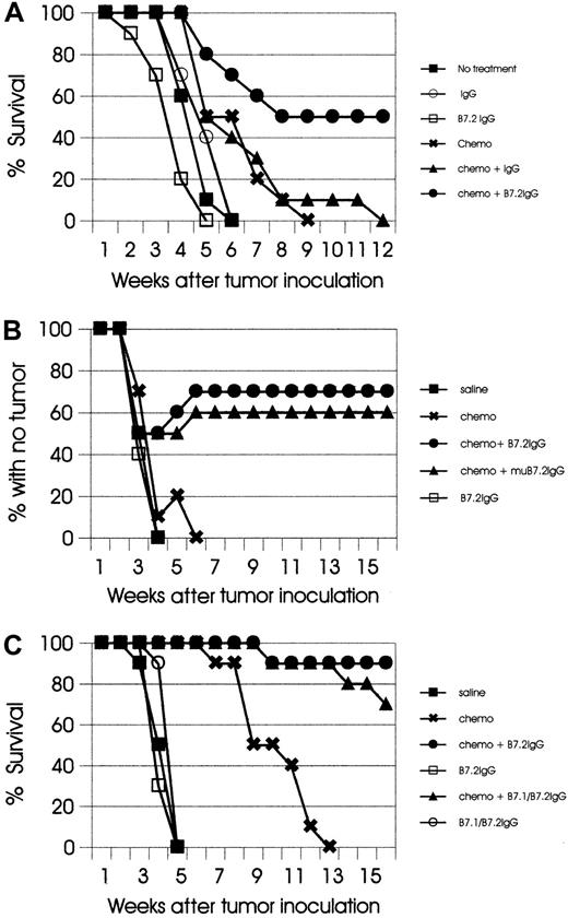 Fig. 2. Combination therapy leads to cure of leukemia and lymphoma mice. / (A) SJL mice (10 mice per group) were injected IV (tail vein) with live 105 AML cells on day 0 and subsequently treated with the indicated types of treatment, as described in “Materials and methods.” Mice treated with the combination of chemotherapy plus B7.2-IgG had 50% cure; all other groups developed lethal leukemia. The results are representative of 3 independent experiments. (B) C57BL/6 mice (10 mice per group) were injected SC in the flank with live 106 EL-4 cells and subsequently treated as described in “Materials and methods.” Mice with no treatment, chemotherapy alone, and B7.2-IgG alone, were killed when tumors reached a size of approximately 400 to 600 mm2. In the chemotherapy-plus-B7.2-IgG group, 70% of the mice remained tumor free, and in the chemotherapy-plus-mutated B7.2-IgG group, 60% of the mice remained tumor free. The results are representative of 2 independent experiments. (C) SJL mice (10 mice per group) were injected IV with live 105 SJL Ly cells on day 0 and subsequently treated with the indicated types of treatment, as described in “Materials and methods.” Mice treated with chemotherapy alone had significantly prolonged survival (P < .01), but eventually developed lethal tumors. In the chemotherapy-plus-B7.2–IgG group, 90% of the mice remained tumor free, and in the chemotherapy-plus-B7.1/B7.2–IgG group, 70% of the mice remained tumor free. The results are representative of 2 independent experiments.