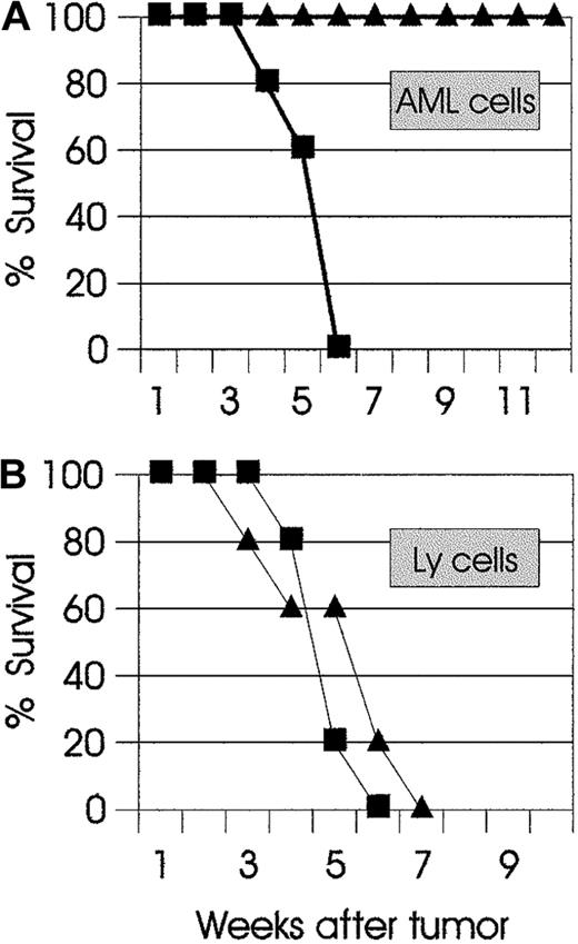Fig. 4. Combination therapy leads to long-lasting tumor-specific immunity. / (A) SJL AML mice (▴) that had been cured with combination therapy were challenged 4 months later with live 105 AML cells. Naive SJL mice (▪) were used as control. All SJL AML mice were resistant to the challenge and rejected the AML cells. (B) At 2 months later, the same mice were injected with a different syngeneic tumor (SJL Ly cells). Control naive (▪) and challenged mice (▴) developed lethal lymphoma. The results are representative of 2 independent experiments.