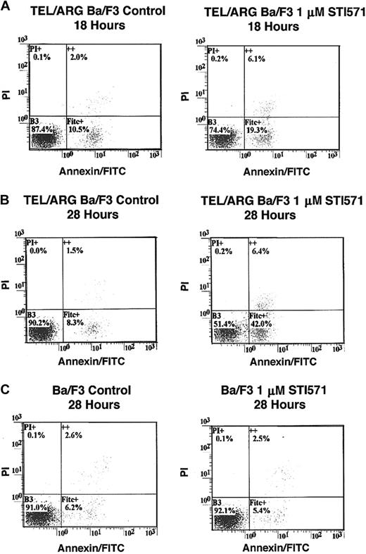 Fig. 6. Effects of STI571 on cell viability and apoptosis in Ba/F3 cells expressing TEL/ARG and untransfected Ba/F3 cells, as determined by annexin-PI staining. / (A) Eighteen-hour treatment of TEL/ARG-Ba/F3 cells with vehicle (left panel) or 1 μM STI571 (right panel). (B) Twenty-eight–hour treatment of TEL/ARG-Ba/F3 cells with vehicle (left panel) or 1 μM STI571 (right panel). (C) Twenty-eight–hour treatment of untransfected Ba/F3 cells with vehicle (left panel) or 1 μM STI571 (right panel). FITC indicates fluorescein isothiocyanate.