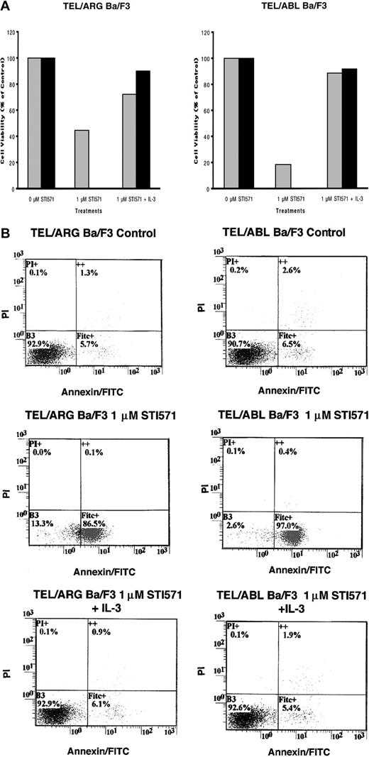 Fig. 7. IL-3 rescue of TEL/ARG-Ba/F3 cells and TEL/ABL-Ba/F3 cells. / (A) Growth curves for TEL/ARG-Ba/F3 cells treated with STI571 for 24 (░) and 72 hours (▪), respectively, and cultured in the absence or presence of 15% WEHI-conditioned medium, used as a source of IL-3 (left panel). Growth curves for TEL/ABL-Ba/F3 cells treated as described for TEL/ARG-Ba/F3 cells (right panel). Experiments were performed in duplicate for each cell line, and viability counts were determined by trypan blue exclusion and shown as percentage control. (B) Annexin-PI analysis of TEL/ARG-Ba/F3 cells (left panel) and TEL/ABL-Ba/F3 cells (right panel), treated as described in panel A.