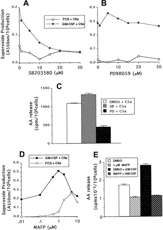 Fig. 6. The effect of SB203580, PD98059, and MAFP on neutrophil responses stimulated by C5a. / (A,B) Superoxide production following incubation with either SB203580 or PD98059 at the doses indicated in the figure, followed by priming with GM-CSF or cytokine diluent and stimulation with 100 ng/mL C5a. (C) AA release from GM-CSF–primed cells preincubated with either 30 μM SB203580, PD98059, or DMSO diluent and stimulated with 100 ng/mL C5a. (D) Superoxide production from GM-CSF– or diluent-primed cells, preincubated with either MAFP at the doses indicated or DMSO diluent, followed by stimulation with 100 ng/mL C5a. (E) AA release from neutrophils incubated with or without 1 μM MAFP and then primed by incubation with 10 ng/mL GM-CSF or cytokine diluent, followed by stimulation with 100 ng/mL C5a.