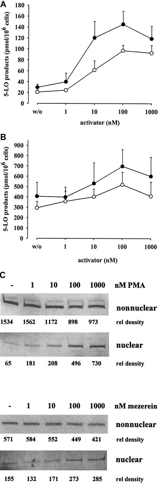 Fig. 2. Dose response of PMA and mezerein for 5-LO product formation and 5-LO translocation in MM6 cells. / Intact MM6 cells (3 × 106 in 1 mL PGC buffer) were primed for 10 minutes at 37°C with the indicated concentrations of PMA (●) or mezerein (○). Then cells were stimulated with 5 μM A23187 (A) or A23187 and AA (5 μM and 40 μM, respectively) (B) for 10 minutes, and 5-LO product formation was determined by HPLC. Results are given as mean + SE; n = 3-5. (C) MM6 cells (1 × 107 in 1 mL PGC buffer) were primed with the indicated concentrations of PMA or mezerein for 10 minutes at 37°C before stimulation with 5 μM A23187 for 5 minutes. Cells were fractionated, and nonnuclear and nuclear fractions were analyzed for 5-LO by immunoblotting as described. Similar results were obtained in one additional experiment.