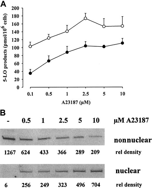 Fig. 3. Dose response of A23187 regarding 5-LO product formation and 5-LO translocation in PMNLs. / For determination of 5-LO product formation in intact cells (A), human PMNLs (5 × 106 in 1 mL PGC buffer) were preincubated in the absence (●) or presence of 100 nM PMA (○) for 5 minutes at 37°C before stimulation with indicated concentrations ofA23187 for an additional 10 minutes. 5-LO product formation was determined by HPLC. Results are given as mean + SE; n = 3. For determination of 5-LO distribution (B), PMNLs (3 × 107in 1 mL PGC buffer) were activated with the indicated concentrations ofA23187 for 5 minutes. Cell fractionation and immunoblotting were performed as described.