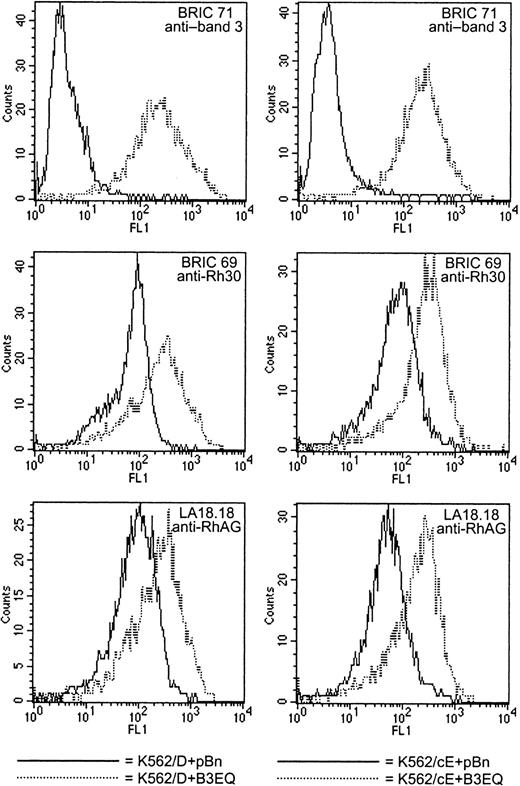 Fig. 4. The effects of high-level band 3 coexpression are the same in K562/D and K562/cE cells. / The effects of coexpressing B3 and B3EQ in K562/Rh cells were indistinguishable, suggesting that the band 3–mediated enhancement of Rh antigen reactivity is due to the presence of the band 3 molecule itself rather than its activity. High-level coexpression was defined as the level of band 3 expression at which FL1 is approximately equal to 200 with BRIC 71. The histograms shown here illustrate the data listed in Table 4 for K562/D+B3EQ clone 1 (left column; using K562/D+pBn clone 2 as control) and in Table 5 for K562/cE+B3EQ clone 1 (right column; using K562/cE+pBn clone 2 as control). The effects of high-level band 3 coexpression were the same for K562/D and K562/cE cells. In all clones coexpressing high levels of B3 or B3EQ, the affinity of the cells was increased significantly for antibodies directed against Rh polypeptides (BRIC 69, 3- to 4-fold) and against RhAG (LA18.18, 3- to 5-fold).