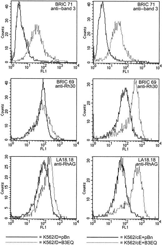 Fig. 5. K562/cE cells show a greater response to low-level band 3 coexpression than K562/D cells. / These histograms illustrate the data listed in Table 4 for K562/D+B3EQ clone 3 (left column) and in Table 5 for K562/cE+B3EQ clone 4 (right column). K562/D+pBn clone 2 and K562/cE+pBn clone 2 were used as negative controls. When low levels (ie, FL1 for BRIC 71 approximately equals 30, or 7 to 8 times higher than for K562/Rh+pBn clones) of B3 or B3EQ were coexpressed in K562/D cells, only a negligible increase in the binding of Rh polypeptide antibody and an approximately 1.5- to 2-fold increase in anti-RhAG binding were observed. However, when the same amount of band 3 was coexpressed in K562/cE cells, BRIC 69 binding was increased 2- to 3-fold, and LA18.18 binding was increased 3- to 5-fold.