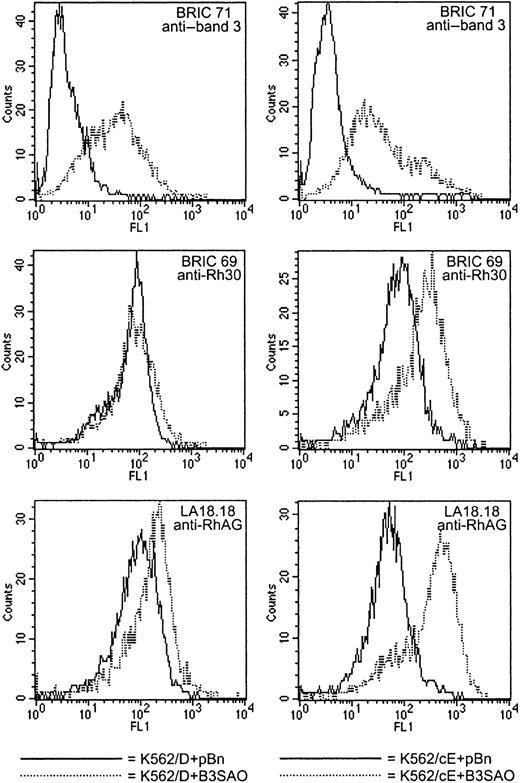 Fig. 6. Unlike K562/cE cells, K562/D cells show no response to B3SAO coexpression. / These histograms illustrate the data listed in Table 4 for K562/D+B3SAO clone 2 (left column) and in Table 5 for K562/cE+B3SAO clone 3 (right column), which showed similar amounts of B3SAO expression. It should be kept in mind that the actual amount of B3SAO expressed at the cell surface is significantly underestimated by the BRIC 71 binding data (Table 3, and “Results”). In the histograms shown here, K562/D+pBn clone 2 and K562/cE+pBn clone 2 were used as negative controls. Coexpression of B3SAO in K562/D cells did not increase their affinity for BRIC 69 and only slightly increased their affinity for LA18.18. In contrast, coexpression in K562/cE cells increased their affinity for BRIC 69 approximately 3-fold and their affinity for LA18.18 approximately 4- to 5-fold. The small increase in LA18.18 binding displayed by K562/D+B3SAO clones may have been due to interactions of endogenously expressed CcEe–RhAG complexes with B3SAO (see “Discussion”).