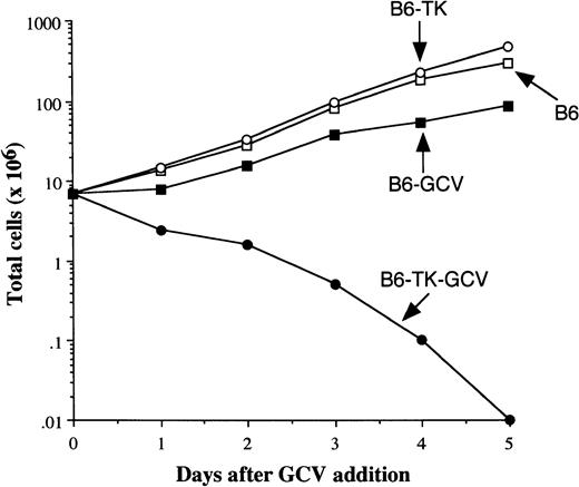 Fig. 2. Anti-CD3 antibody-activated TK+ T cells are killed by GCV in vitro. / Spleen cells from B6 TK− and TK+ mice were activated in vitro with immobilized anti-CD3 antibody and IL-2 for 3 days. Cells were then transferred into fresh flasks and grown in IL-2 ± GCV (10 μg/mL). The total number of viable cells was monitored over the ensuing 5 days and is depicted for each of the groups.