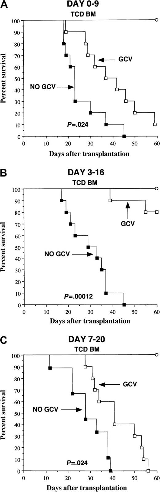 Fig. 3. GCV treatment mitigates lethal GVHD in mice transplanted with HSV-TK+ T cells. / Lethally irradiated B10.BR mice were transplanted with TCD B6 BM (107) alone (○, n = 6/group) or together with 3 × 106 B6 T cells. Animals transplanted with T cells were then either left untreated (▪, n = 9-10/group) or received the specified schedule of GCV therapy (■, n = 10/group) (panel A, days 0-9; panel B, days 3-16; and panel C, days 7-20). Actual survival is depicted. Data are cumulative results from 2 independent experiments per schedule.