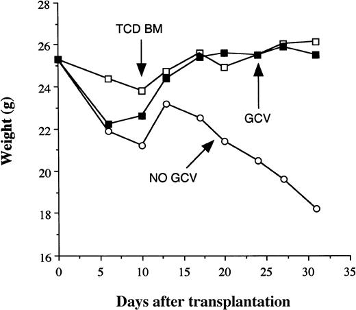 Fig. 4. The selective elimination of alloreactive donor T cells mitigates GVHD without compromising engraftment. / Irradiated AKR mice (850 cGy) were transplanted with TCD B6 BM alone (■, n = 9) or TCD BM plus 5 × 105 B6 TK+T cells with (▪, n = 16) or without (○, n = 13) GCV administered after transplantation. GCV was given to animals for either 5 (days 4-8, 2 experiments) or 10 (days 4-13, 1 experiment) days after transplantation and the results were combined. The mean weights of animals are depicted over the first 4 weeks.