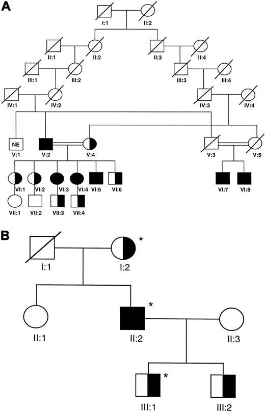 Fig. 1. Pedigree of families 3 and 4. / (A) Family 3 harbors the 84-88 insC mutation. Genotypically affected patients are represented by filled symbols, unaffected relatives by open symbols. NE, not examined. (B) Pedigree of family 4. The genotypically affected patient is represented by a filled symbol, unaffected relatives by open symbols. The coinheritance of β-thalassemia is indicated by the asterisk.