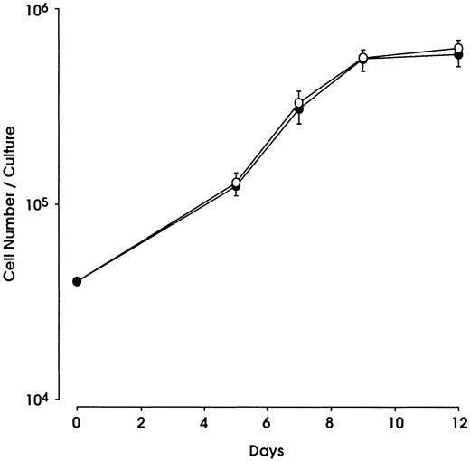 Fig. 4. The MK proliferation is not affected by the presence of SDF-1α. / Proliferation of HPCs along the megakaryocytic lineage in the presence of TPO (100 ng/mL) alone (●) or in combination with SDF-1α (1 μg/mL, ○). Data are expressed as the mean ± SEM of 9 separate experiments. No significant differences were observed when statistical analysis was performed by means of the Student t test for paired data.