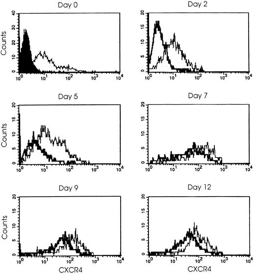 Fig. 6. SDF-1α affects CXCR4 expression. / Cells were treated at day 0 after HPC purification with TPO (100 ng/mL) (thin line) or with TPO + SDF-1α (1 μg/mL) (broad line) and analyzed at intervals during the culture (days 2 through 12) by flow cytometry with the use of PE-conjugated CXCR4 mAb as described in “Materials and methods.” The staining with negative control antibody is shown, as solid profile, at day 0, and appears similar in the following days. Representative results from 1 out of 5 independent experiments are shown.