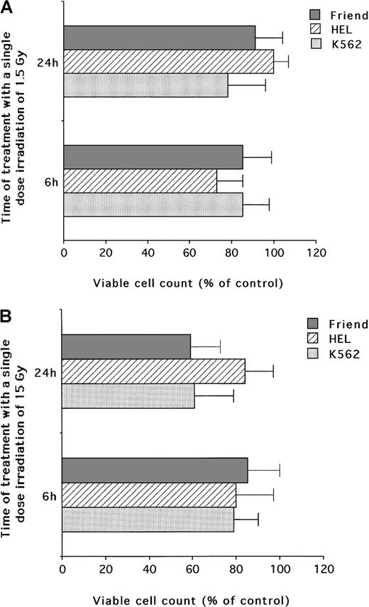 Fig. 2. Evaluation of the cytotoxic activity of low and high single-dose IR on erythroleukemic cell lines. / (A) Low (1.5 Gy) single-dose IR. (B) High (15 Gy) single-dose IR. Viable cells were counted by trypan blue dye exclusion at 6 and 24 hours after irradiation. Data are expressed as percentage of control cells and represent the mean ± SD of 5 independent experiments performed in duplicate.