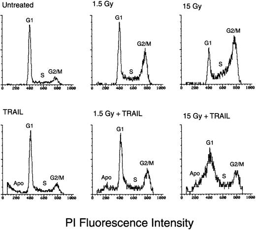 Fig. 4. Flow cytometric evaluation of the cell-cycle profile and of apoptosis in HEL cells left untreated or treated with IR (1.5 and 15 Gy) alone, TRAIL (1 μg/mL) alone, or a combination of IR followed after 6 hours by TRAIL. / Analysis was performed 24 hours after irradiation. The x-axis shows the DNA content, determined based on fluorescence from PI staining, and the y-axis reflects the relative number of cells. Percentage cells in apoptosis (Apo) or in the G1, S, and G2 + M phases of the cell cycle for each experimental point are reported in Tables 1 and 2. These results are representative of 4 experiments performed in duplicate.
