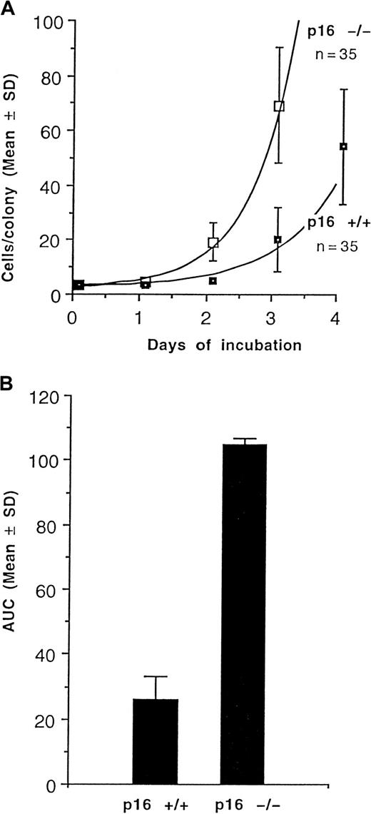 Fig. 4. Growth and replication of CFU-GM. / (A) Growth rates of CFU-GM colonies grown from marrow ofp16INK4a knockout (−/−) and intact (+/+) mice. n = number of colonies analyzed in each group. (B) Replicative capacity of CFU-GM, as reflected by the AUC, grown from marrow ofp16INK4a knockout (−/−) and intact (+/+) mice. n = 3 for each group.