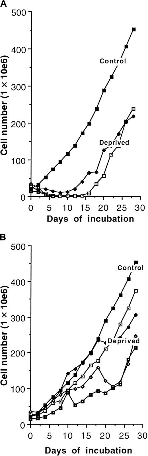 Fig. 5. Growth factor independence. / (A) Effects of immediate total WEHI-3B CM withdrawal from 4 cell lines derived from p16INK4a−/− mouse bone marrow. (B) Effects of stepwise WEHI-3B CM withdrawal from 4 cell lines derived from p16INK4a−/− mouse bone marrow.