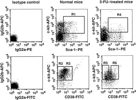 Fig. 1. Sorting regions used for preparation of Lin−c-kit+Sca-1+CD38−and Lin−c-kit+Sca-1+CD38+cell populations. / The Lin− cells from normal mice were enriched for c-kit+Sca-1+ cells using the R1 window and sorted on the basis of CD38 expression using R2 and R3 sorting gates. The cells from 5-FU–treated mice were prepared using R4, R5, and R6 gates. The experiments were performed with NIM-R5 anti-CD38 antibody (Southern Biotechnology Associates).