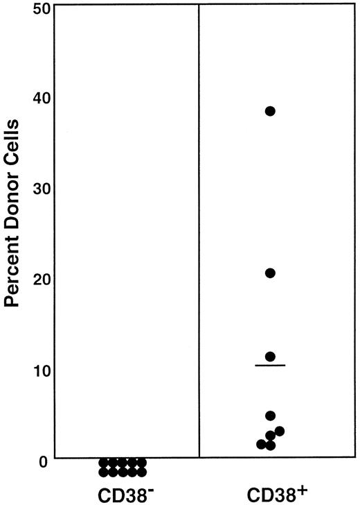 Fig. 2. Percentage of donor nucleated cells in the blood of individual mice having transplantation with 200 Lin−c-kit+Sca-1+CD38−or 100 Lin−c-kit+Sca-1+CD38+marrow cells of normal mice 6 months before. / The numbers of transplanted CD38− and CD38+cells reflect the 2:1 ratio of the cells in R2 and R3 windows of Figure1. Results shown are representative of 3 experiments.