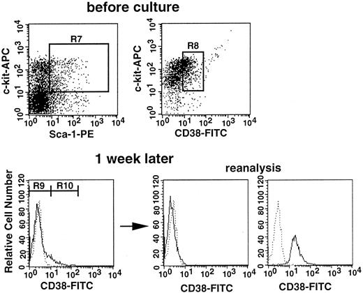 Fig. 4. Sorting regions and flow cytometric analyses of CD38 expression before and after culture. / Top: Sorting regions used for preparing the Lin−c-kit+Sca-1+CD38+population from bone marrow cells of normal mice. The Lin−cells were enriched for c-kit+Sca-1+ cells using R7 windows and again sorted on the basis of CD38 expression using the R8 window. The cells were incubated with SF and IL-11 for 1 week. Bottom: Sorting regions used for the cultured cells and analyses of purity of the sorted cells. Dotted and solid lines represent cells stained with IgG2a-FITC and CD38-FITC, respectively. The anti-CD38 antibody used in this experiment was purchased from Southern Biotechnology Associates.