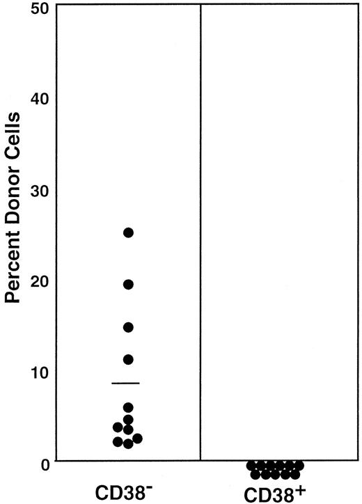 Fig. 5. Percentage of donor nucleated cells in the blood of individual mice having transplantation with cultured cells 6 months before. / Because the ratio of CD38− (R9) to CD38+ (R10) cells in Figure 4 was approximately 20:1, 60 000 CD38− or 3000 CD38+ cultured cells were injected into individual recipient mice. Results shown are representative of 3 experiments.