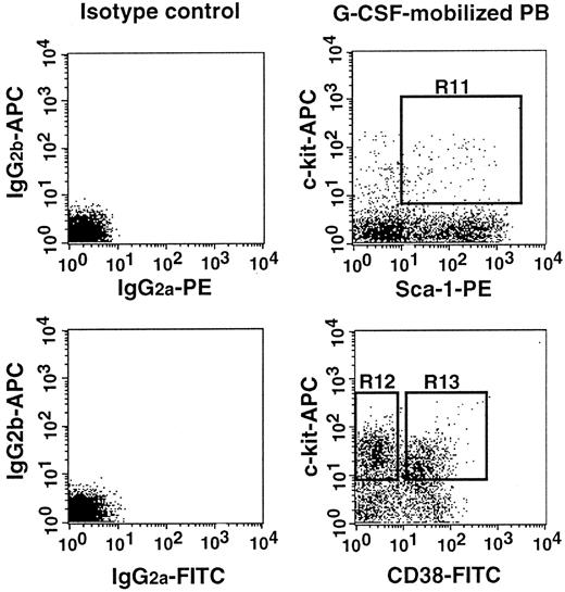 Fig. 6. Sorting regions used for preparing Lin−c-kit+Sca-1+ PB cells of G-CSF–treated mice that were further separated on the basis of CD38. / First, Lin+ cells were removed from mononuclear PB cells with immunomagnetic beads. The Lin− cells were enriched for c-kit+Sca-1+ cells using R11 window and again sorted on the basis of CD38− (R12) and CD38+ (R13) windows. The experiments were performed with NIM-R5 anti-CD38 antibody.